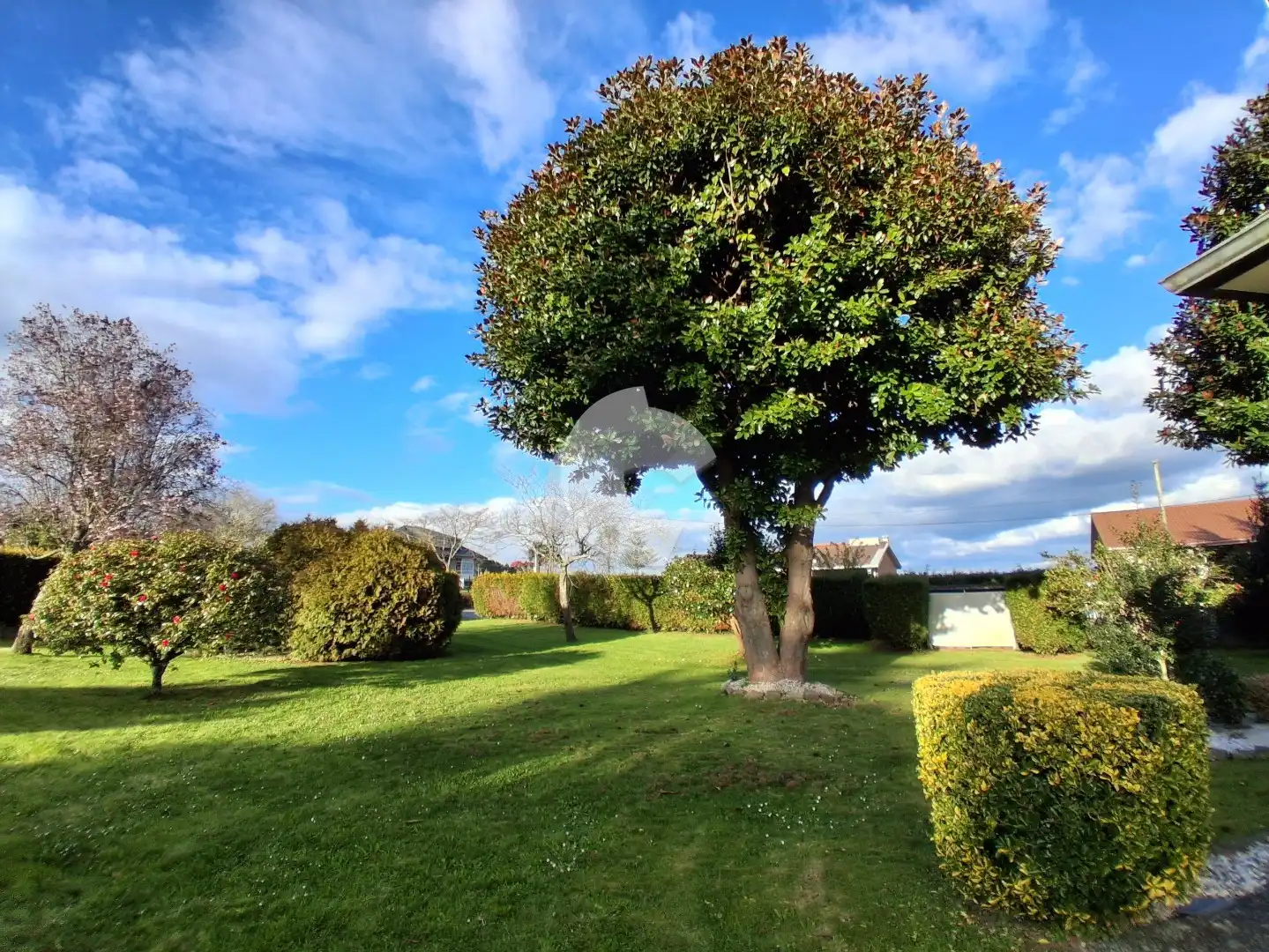 Jardí de Casa o xalet en venda en Abegondo amb Jardí privat i Traster
