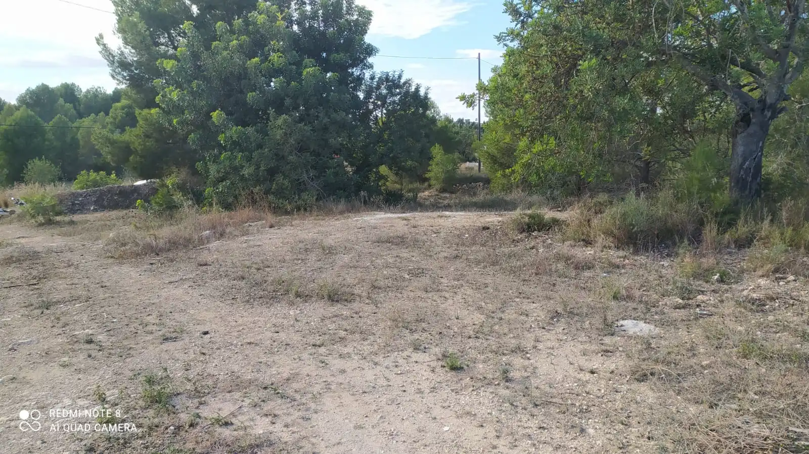 Nave industrial en venta en Burjassot