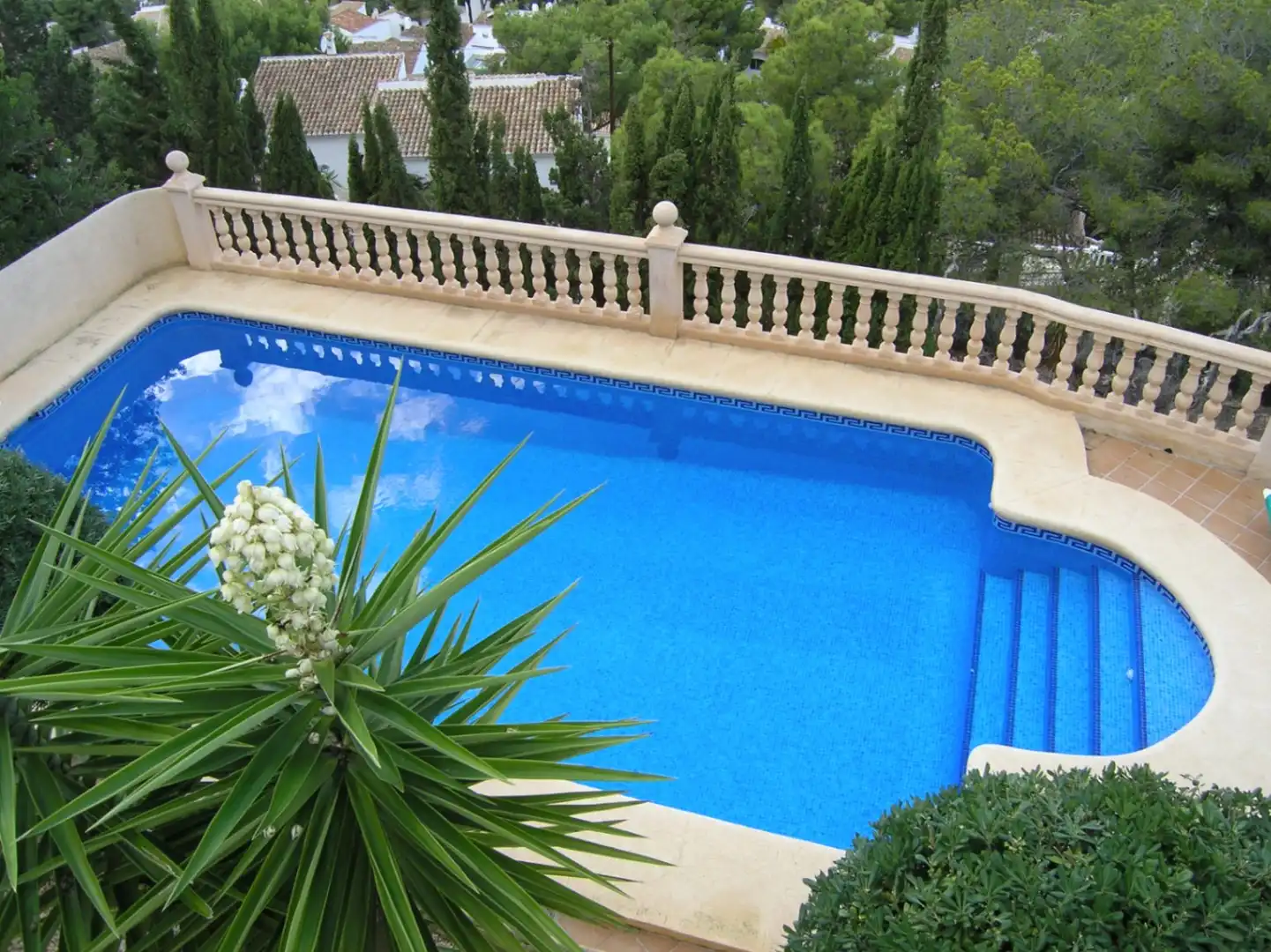 Houses for rent in Paichi