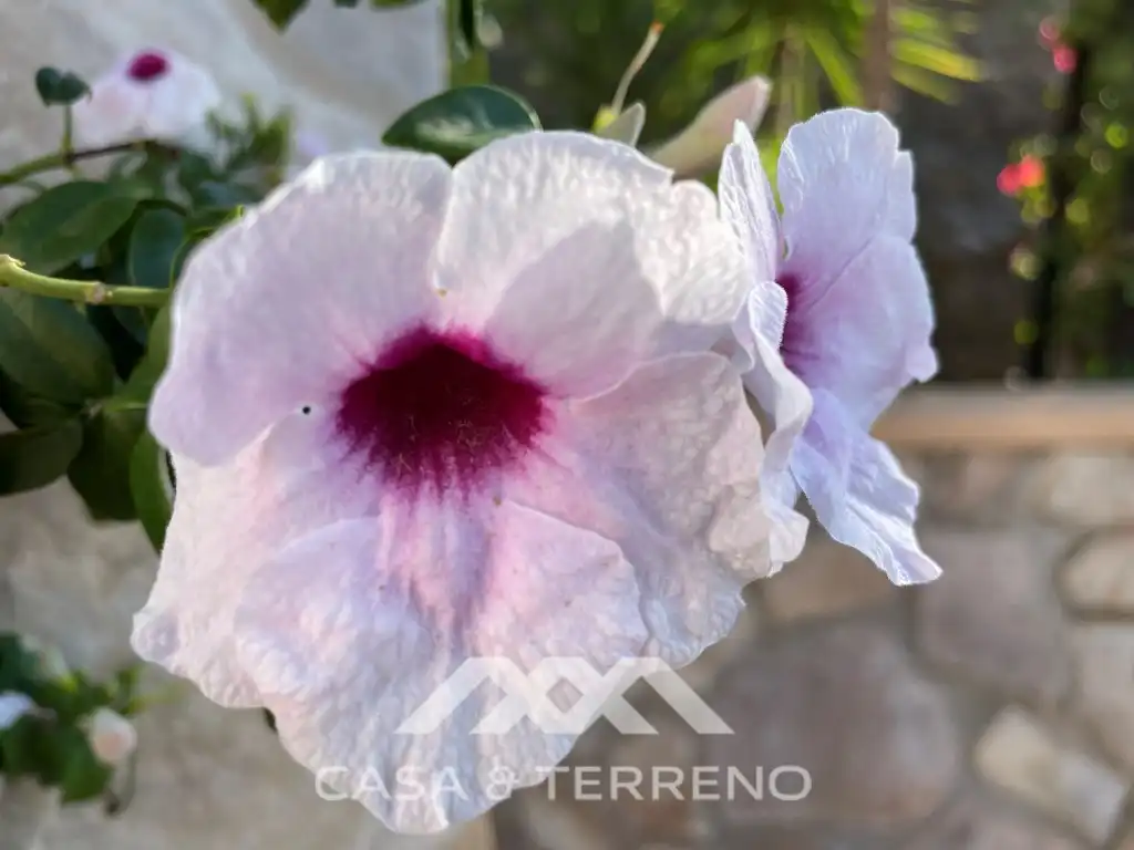 Casa amb terrassa en venda a Diseminados Diseminados, imagen 54
