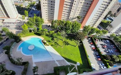 Piscina de Apartament en venda en Benidorm amb Terrassa