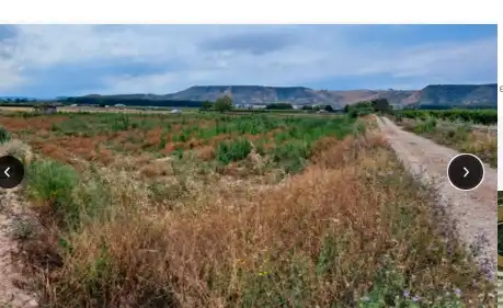 Rural land for sale in Viana, imagen 2