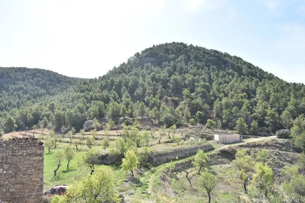 Terreni e lotti in vendita a Fuentespalda, imagen 7