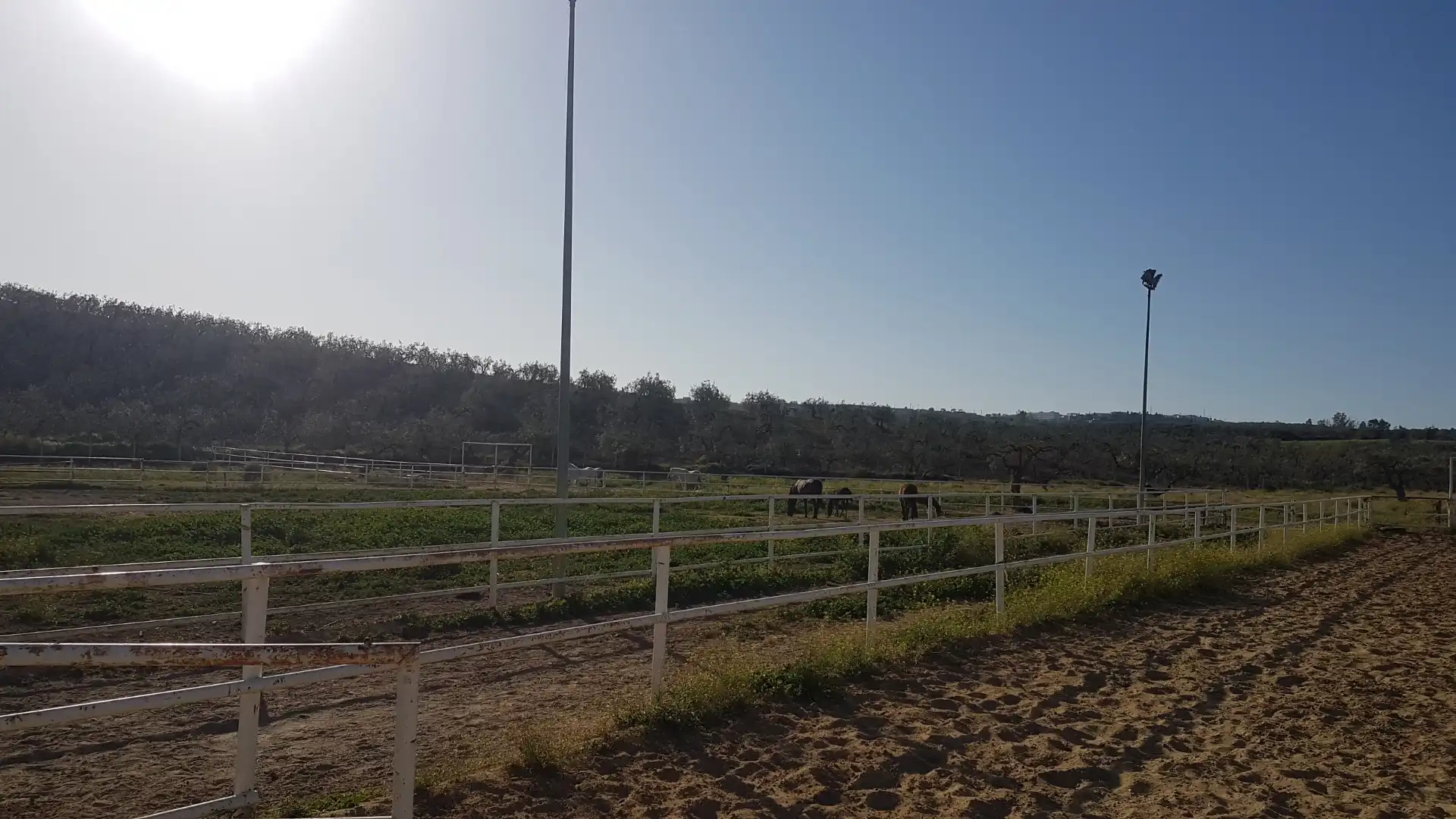 Terreni e lotti in vendita a Sanlúcar la Mayor, imagen 28