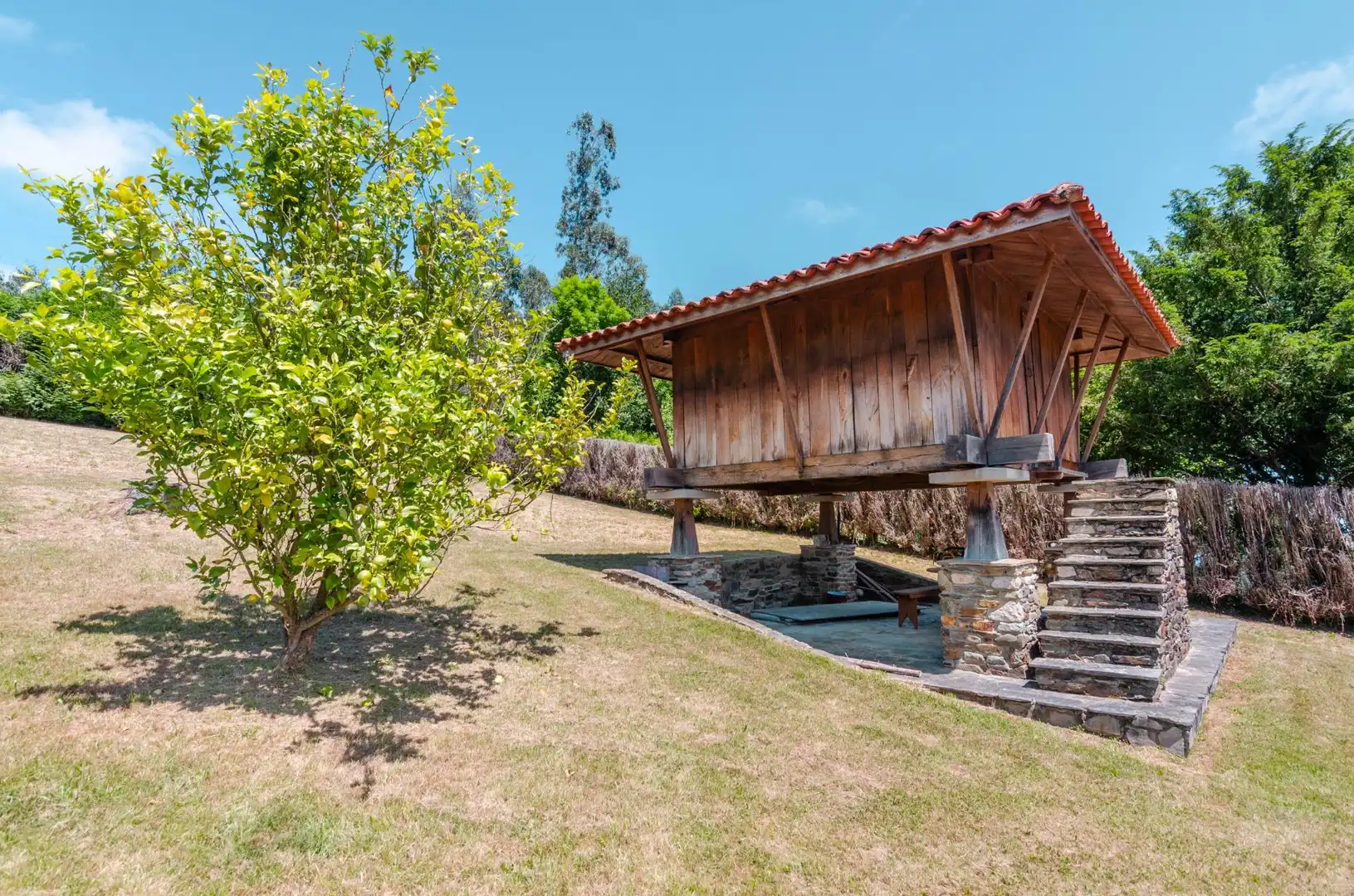 House with terrace for sale in Carretera DE PIÑERA A SAN CRISTOBAL 2354, imagen 42