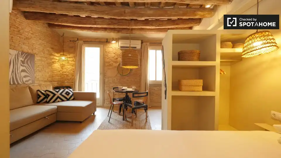Appartamento con terrazza in affitto a Ciutat Vella, imagen 13
