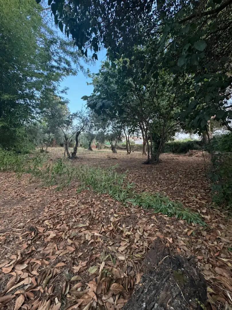Casa o xalet en venda en Trujillo amb Aire condicionat, Jardí privat i Traster