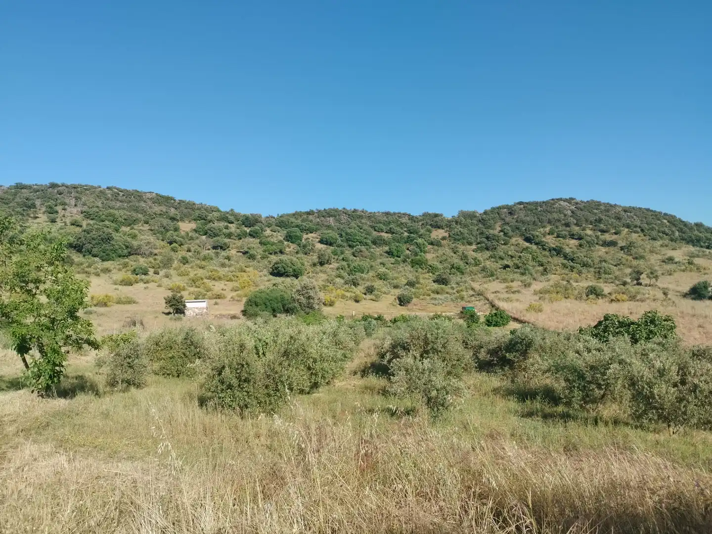 Terreno rustico in vendita a Burguillos del Cerro, imagen 10