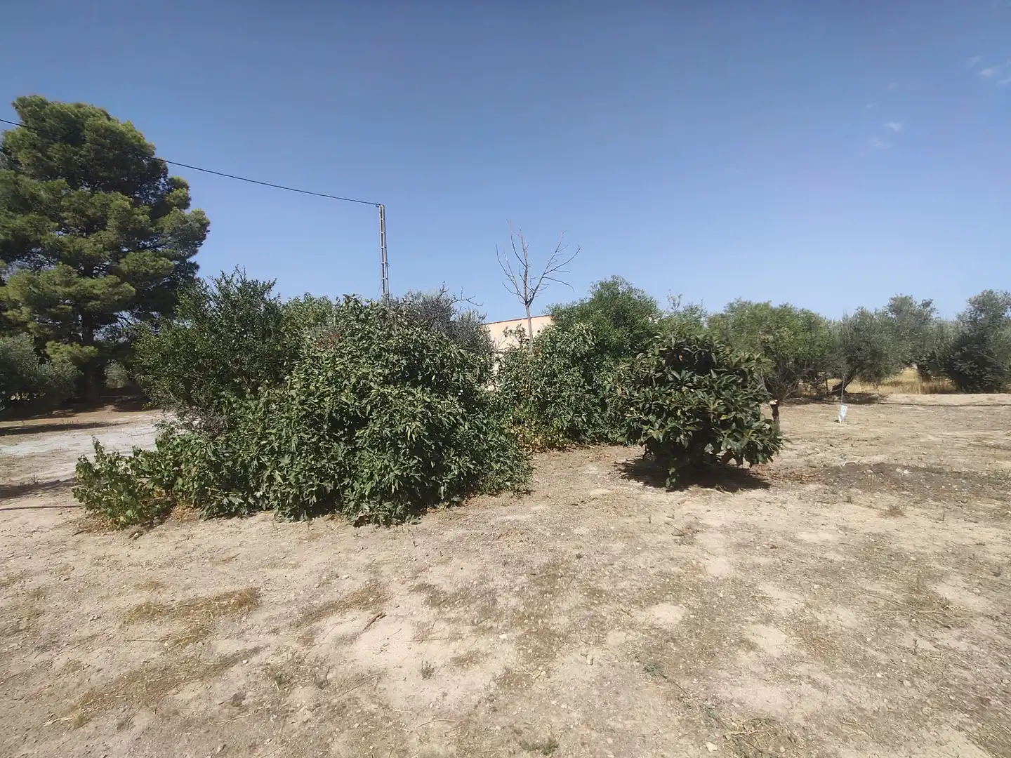 Houses for sale in Baza