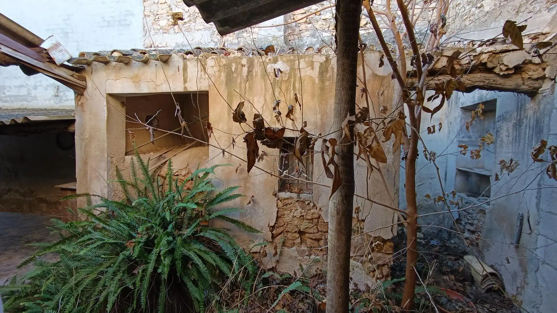 Vista exterior de Casa o xalet en venda en Blanca amb Jardí privat