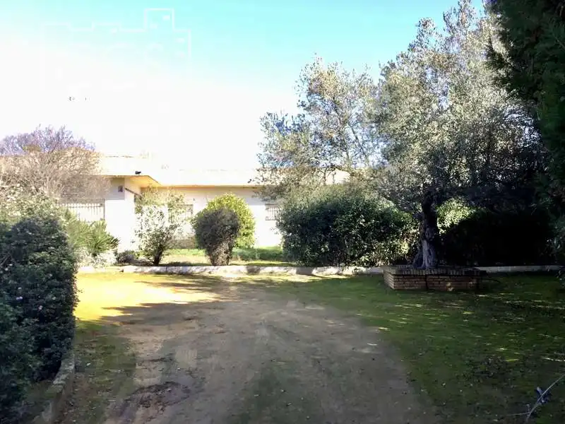 Chalet con piscina en venta en Sanlúcar la Mayor, imagen 30