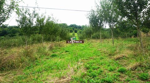 GradoTerreno, immagine 3