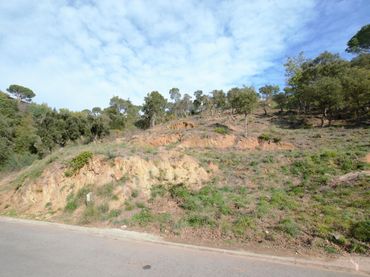 Terreny residencial en venda a Eucaliptus 9
