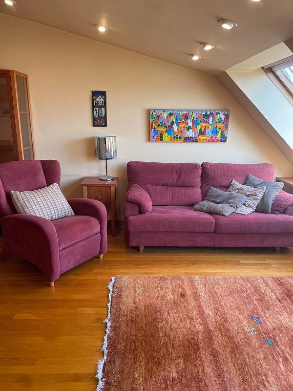 Sala d'estar de Apartament de lloguer en Santiago de Compostela  amb Calefacció i Moblat