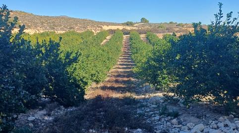 Photo 4 of Land for sale in Plaza Circular, 8a, Santa María de Gracia, Murcia