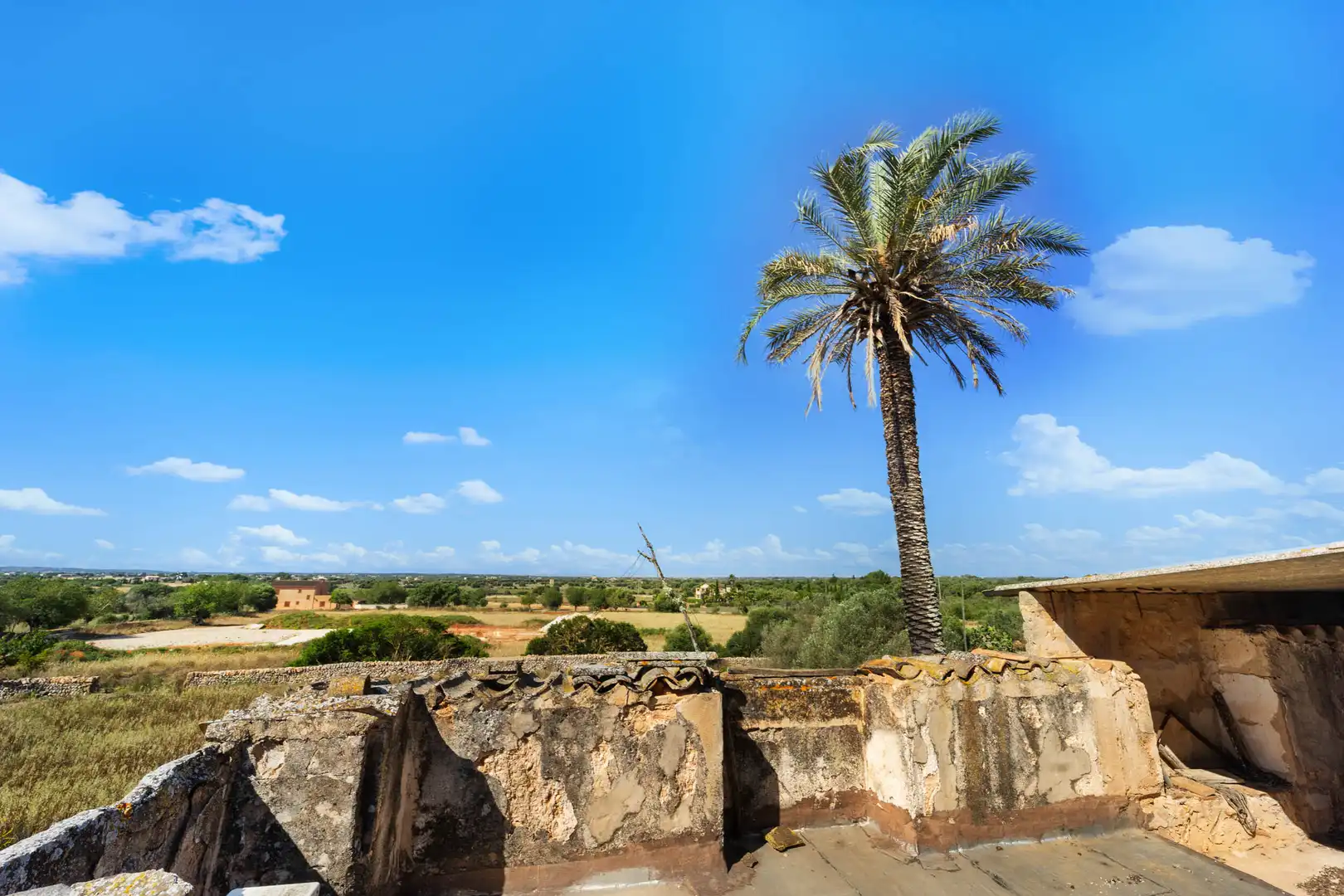 Casa con terrazza in vendita a Campos poble, imagen 12