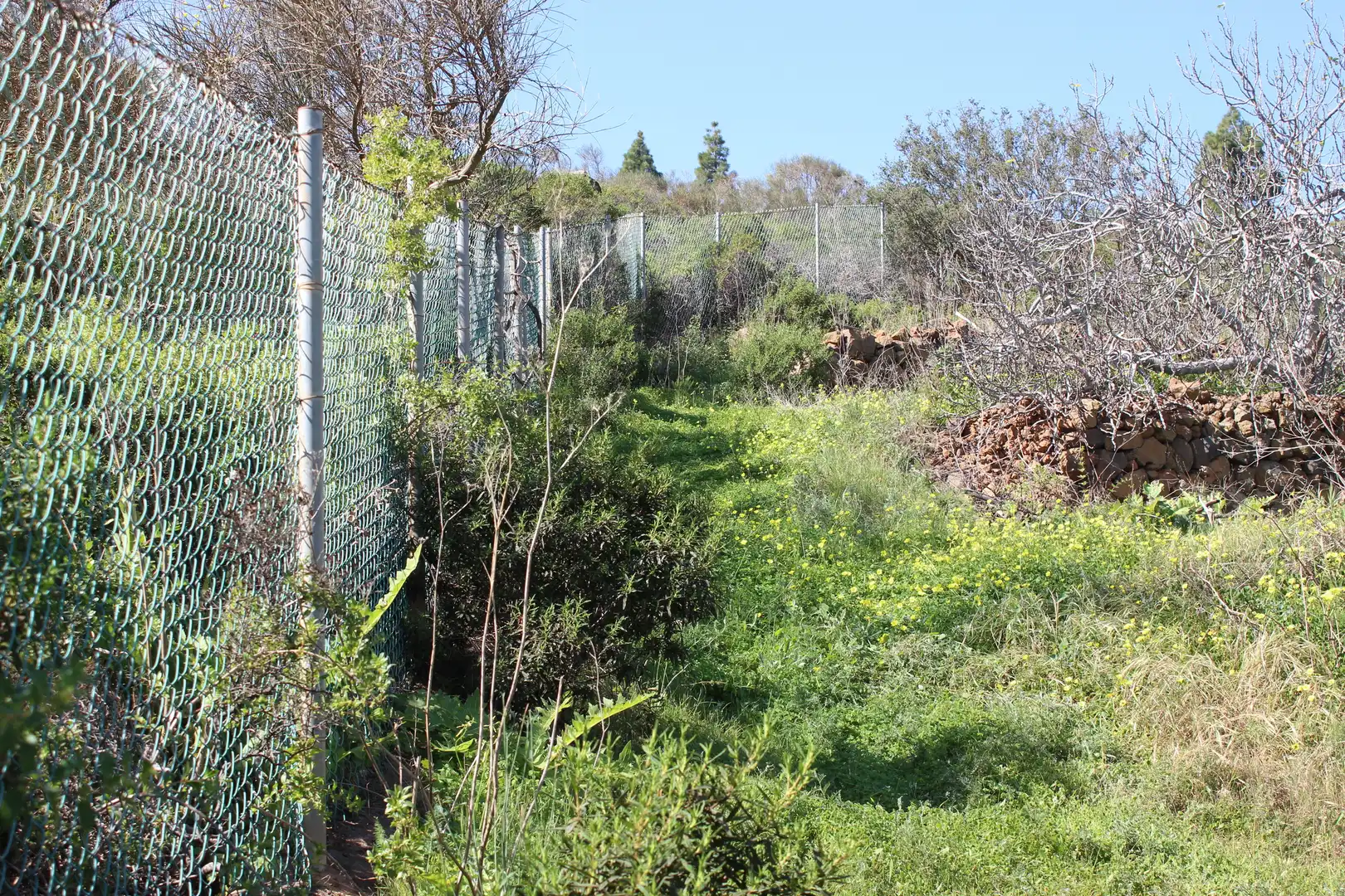 Rustikales Grundstück zum Verkauf in Machado - Las Barreras, imagen 26