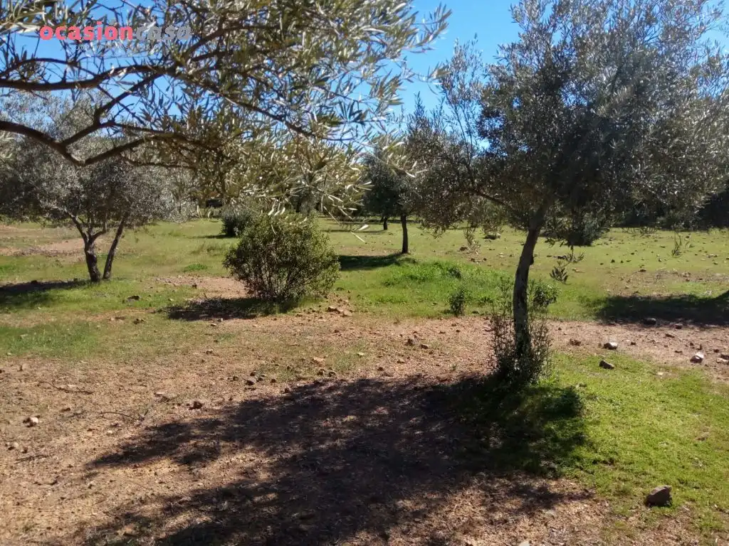 Villa mit Garten zum Verkauf in Pozoblanco, imagen 57