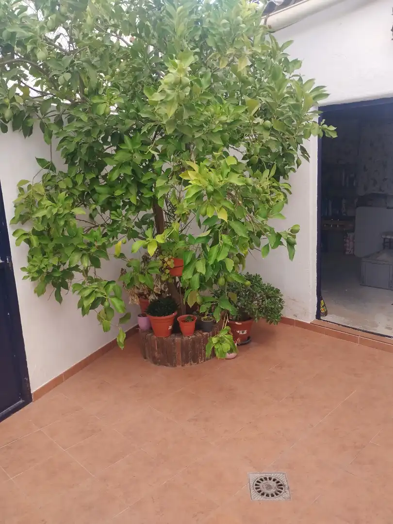 House for sale in Calle Cruz Blanca, imagen 14