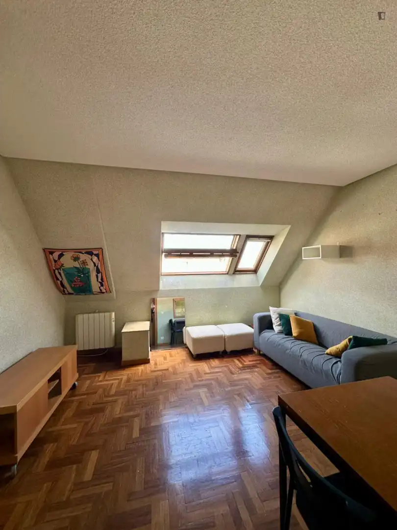 Sala d'estar de Apartament de lloguer en Madrid amb Calefacció, Moblat i Forn