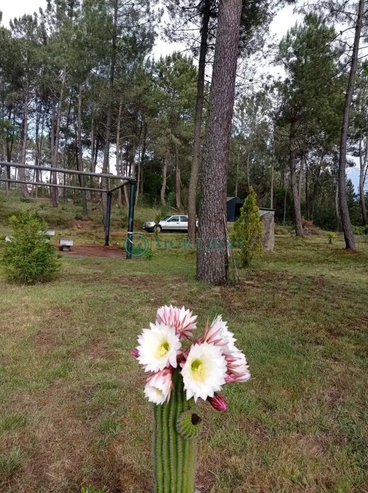 Haus mit Garten zum Verkauf in LG SAN FIZ, imagen 14