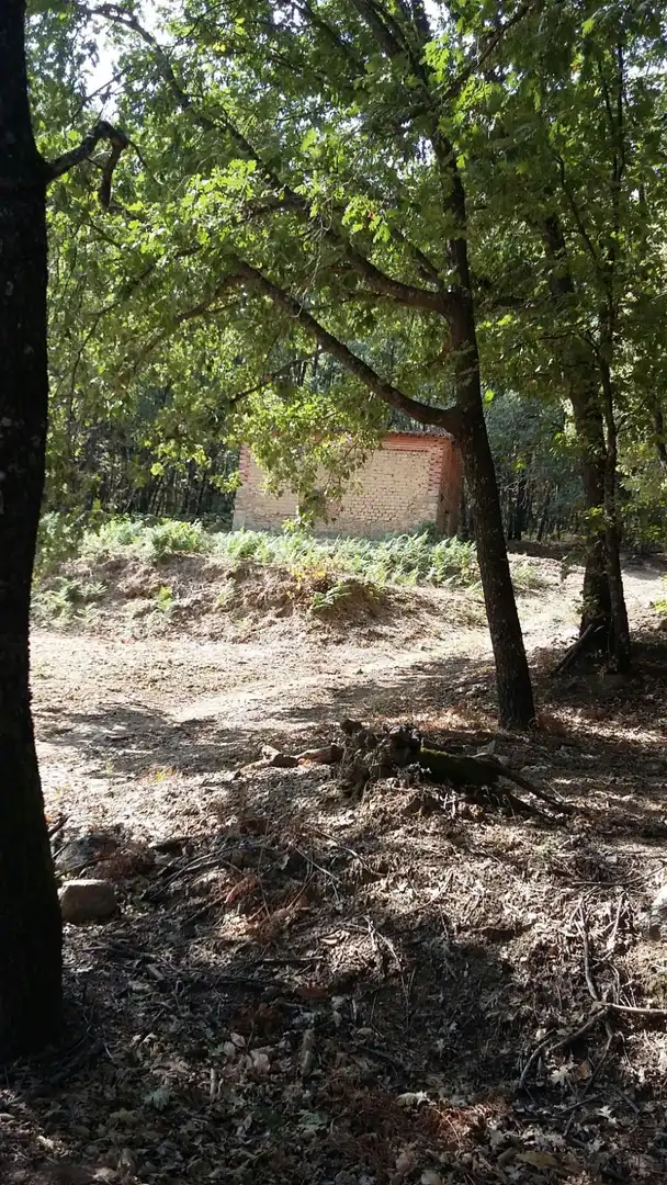 Terreni e lotti in vendita a Jarandilla de la Vera, imagen 4
