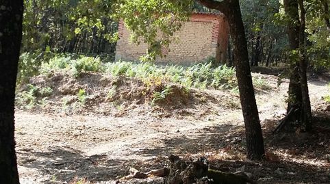 INMOEX VENDE FINCA EN JARANDILLA DE LA VERA , imagen 4