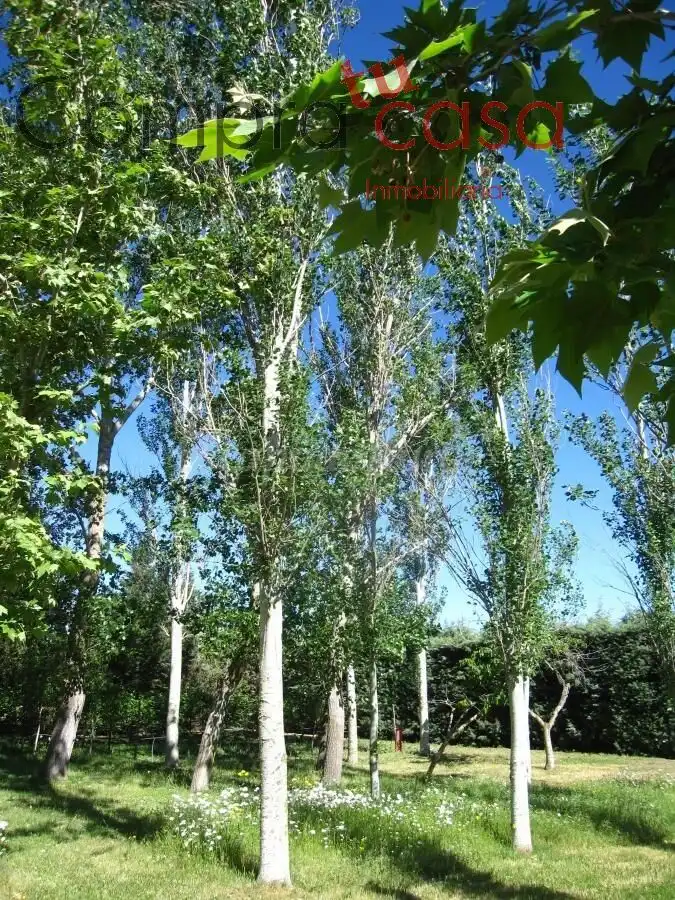 Vista exterior de Casa o chalet en venta en Valverde del Majano con Calefacción, Jardín privado y Terraza