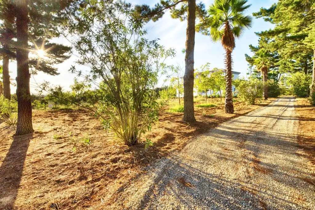 Country homes for sale in Ronda  with Private garden, Terrace and Swimming Pool