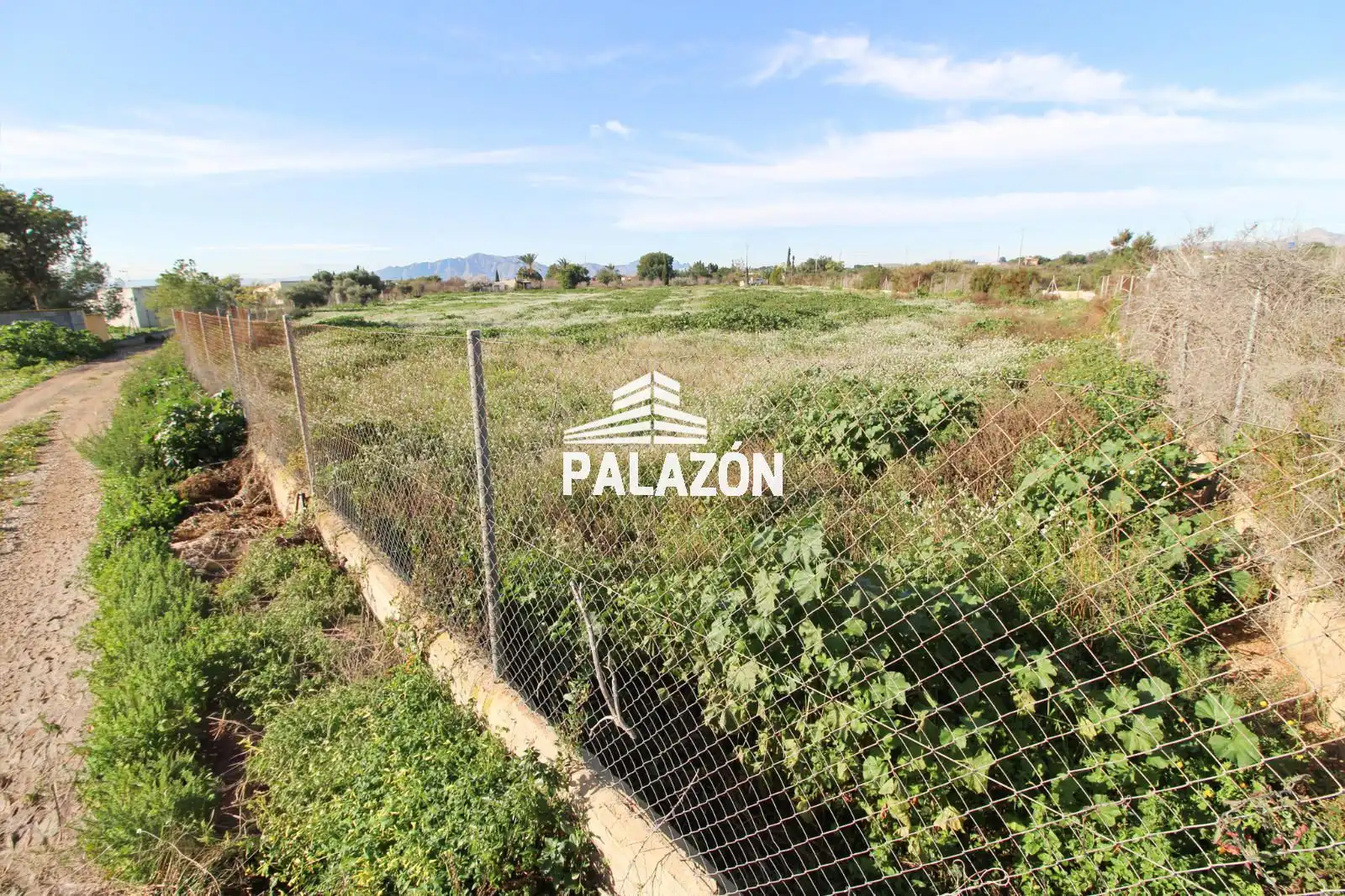 Terreno rustico in vendita a Crevillent, imagen 7