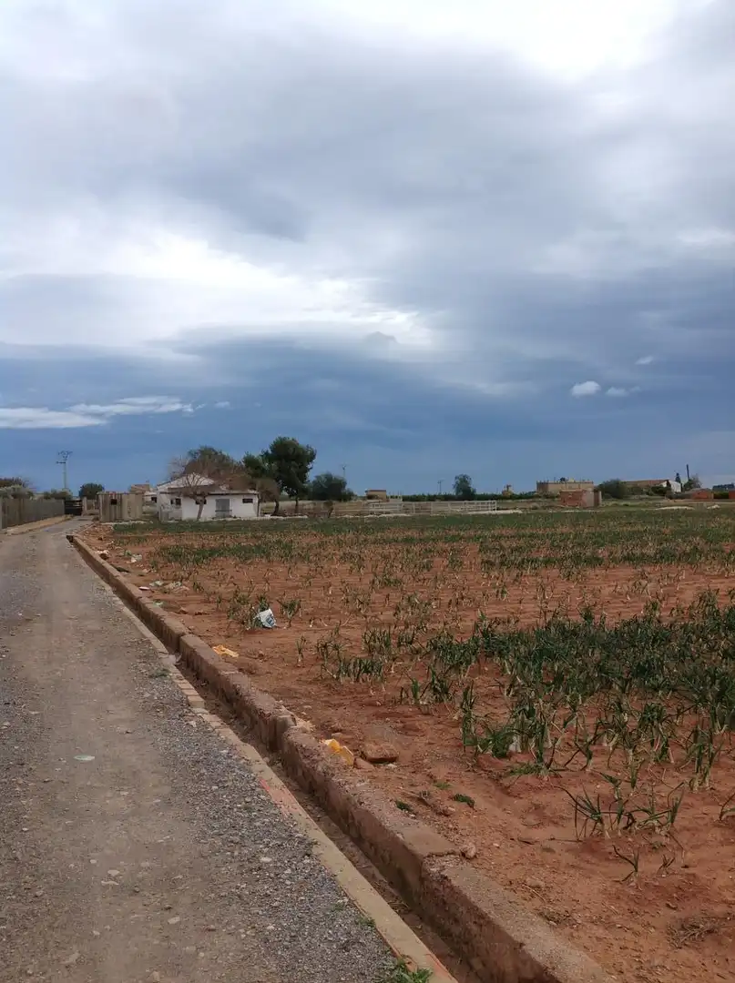 Casa o chalet en venta en Moncada