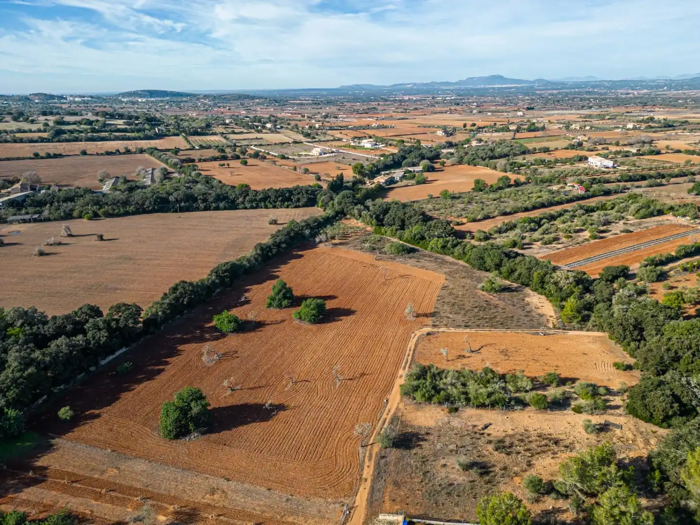 Wohnbaugrundstück zum Verkauf in Felanitx Poble, imagen 16