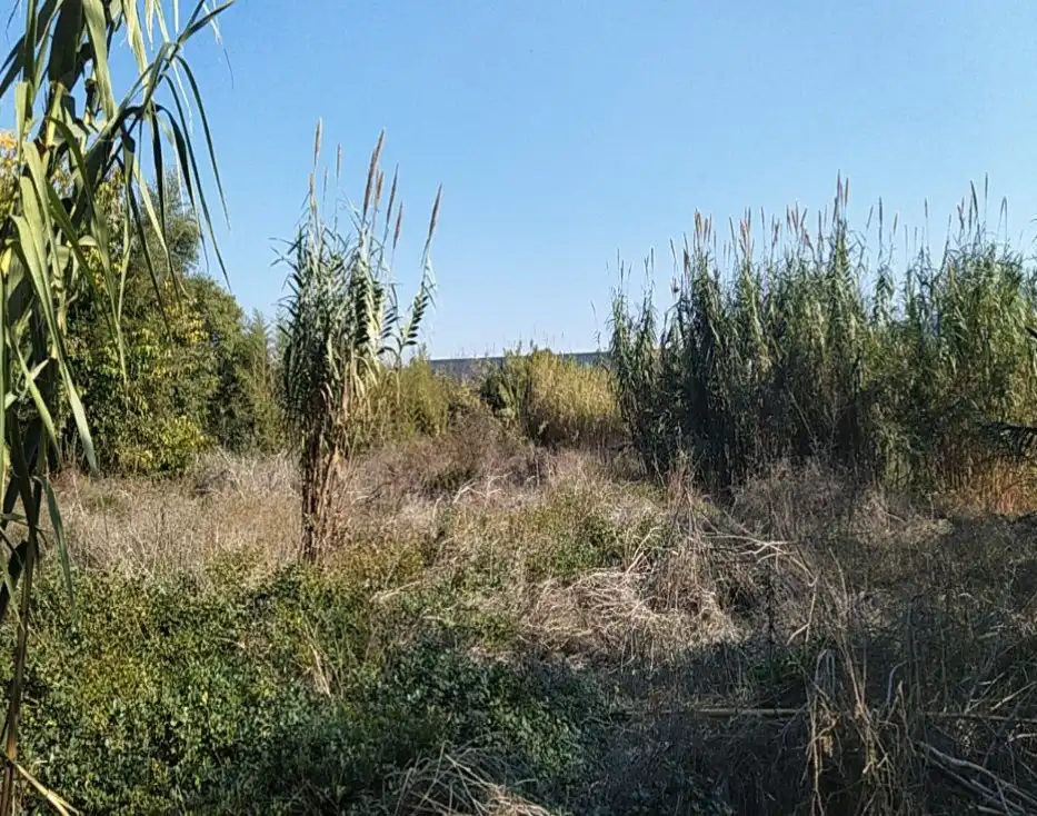 Terreny residencial en venda a LA ALBERCA, imagen 4