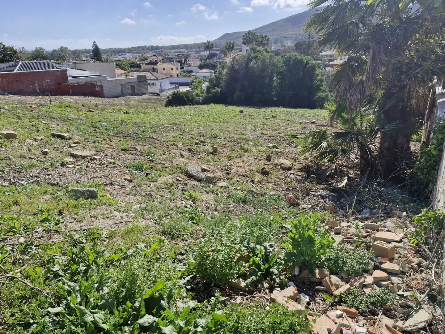Terrenos y solares en venta en El Zabal - Santa Margarita, imagen 4