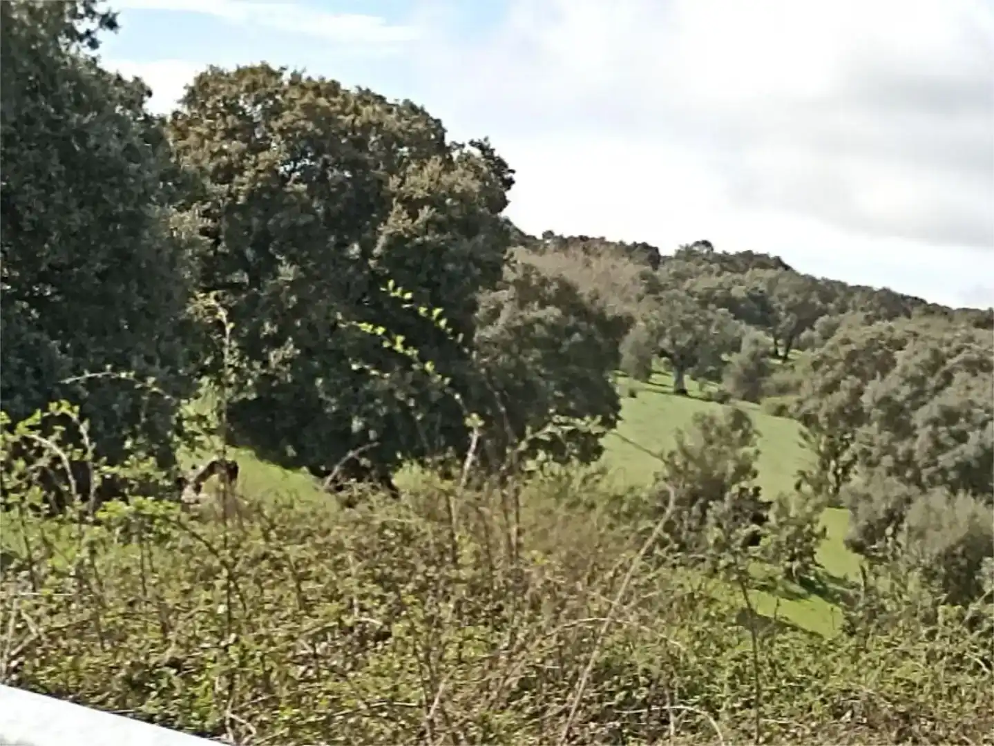 Planta baja en venta en Membribe de la Sierra con Amueblado