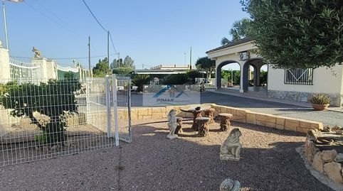 Foto 4 de Finca rústica en venta en La Foia - Daimés - Asprella, Elche / Elx