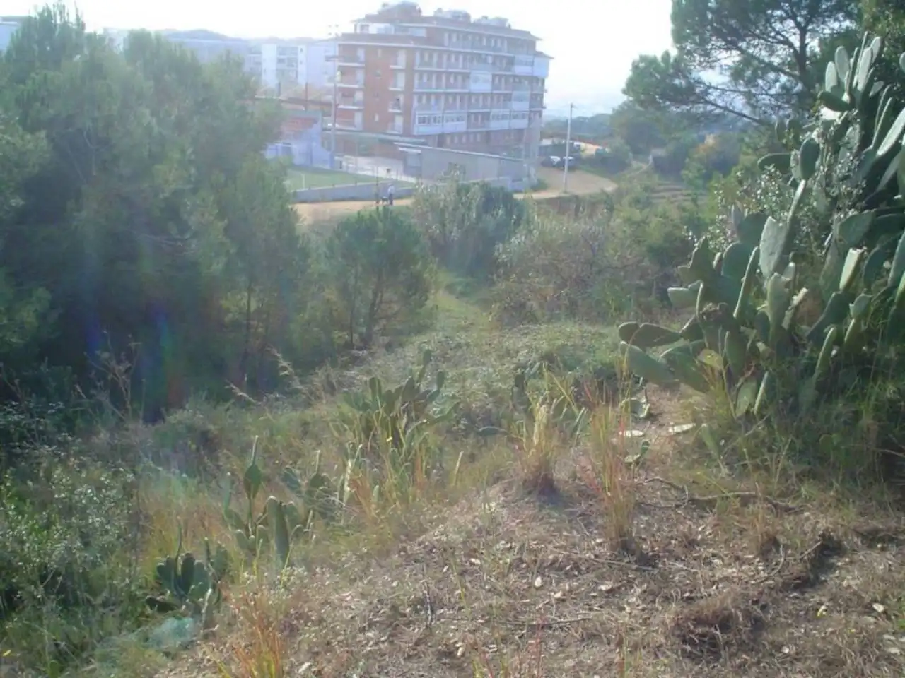 Rustikales Grundstück zum Verkauf in Calle JOAN ALCOVER, imagen 2