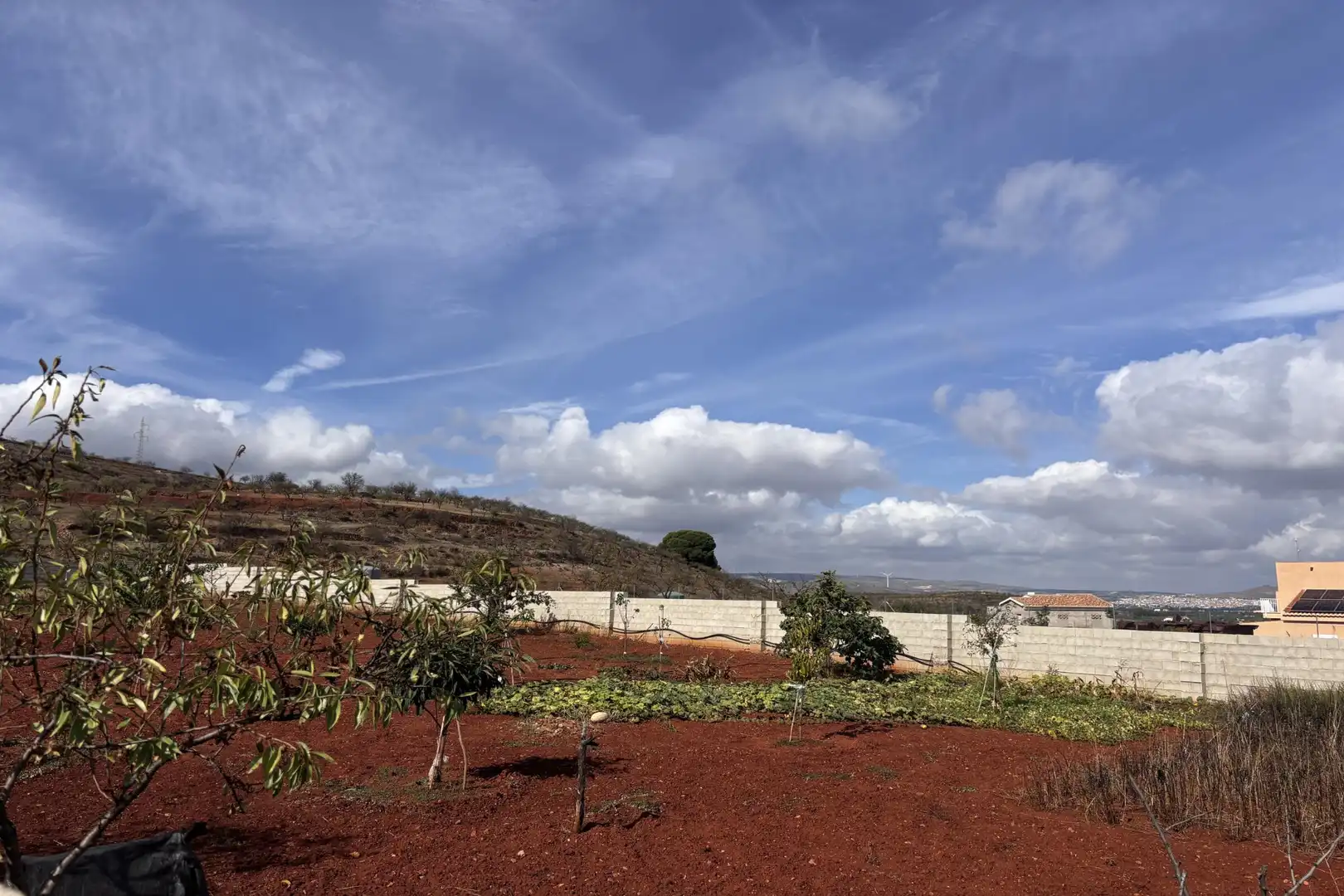 Rural land for sale in Nigüelas, imagen 16