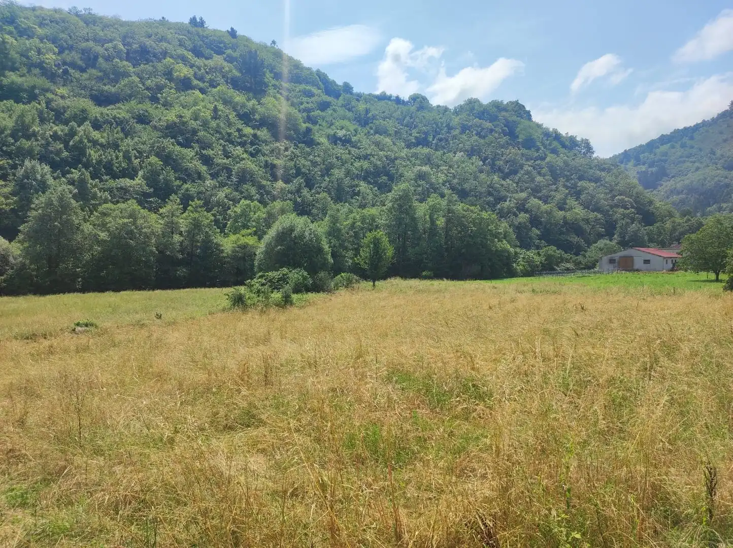 Immobles singulars en venda a Tineo, imagen 85