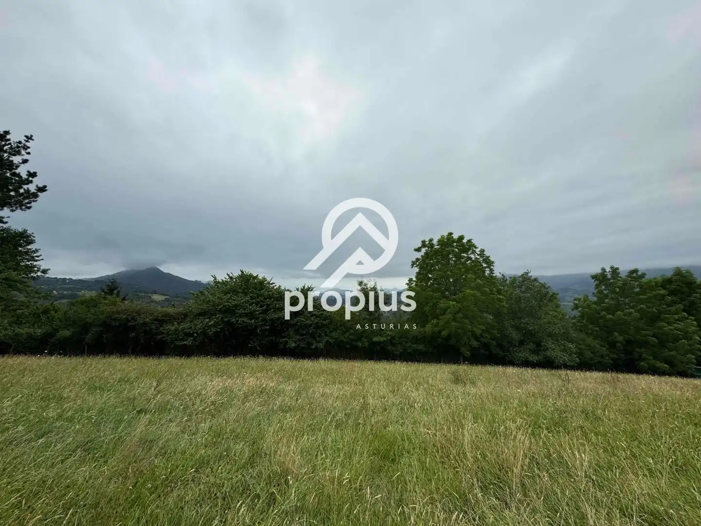 Rural land for sale in Arenas, imagen 28
