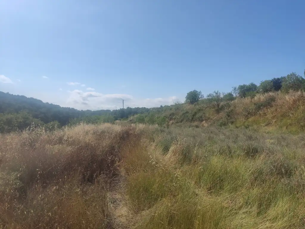 Rural land for sale in Gandesa, imagen 19