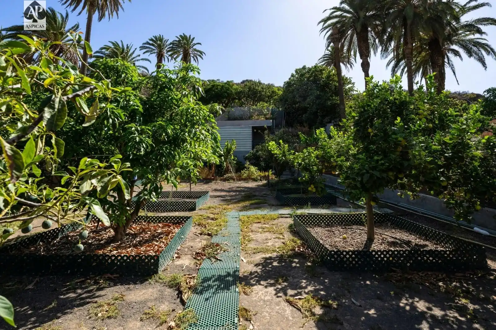 Jardín de Finca rústica en venta en Telde con Jardín privado, Terraza y Trastero
