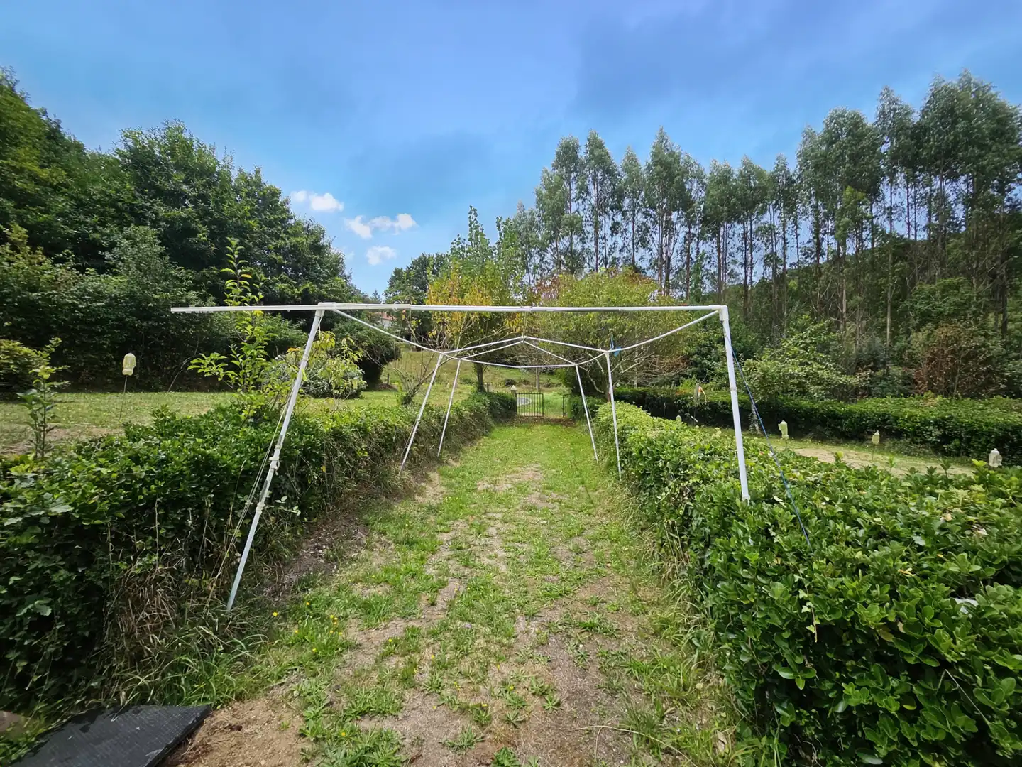 Maison avec jardin à vendre à Camino Aranga, imagen 22