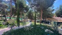 Jardí de Casa o xalet en venda en Tibi amb Terrassa i Piscina