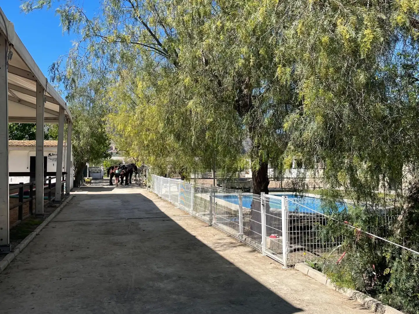 Maison rustique avec piscine à vendre à Desamparados - Hurchillo - Torremendo, imagen 3