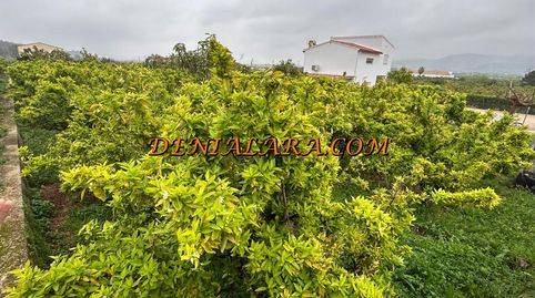 Terreno rustico de 1000m en Pego, imatge 5