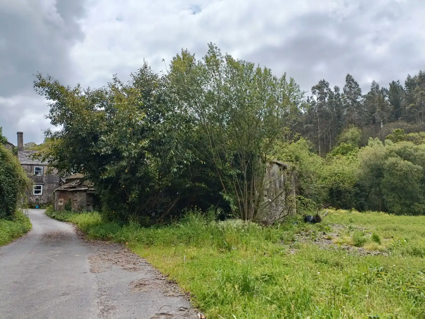 Casa o xalet en venda en Aranga amb Jardí privat i Traster
