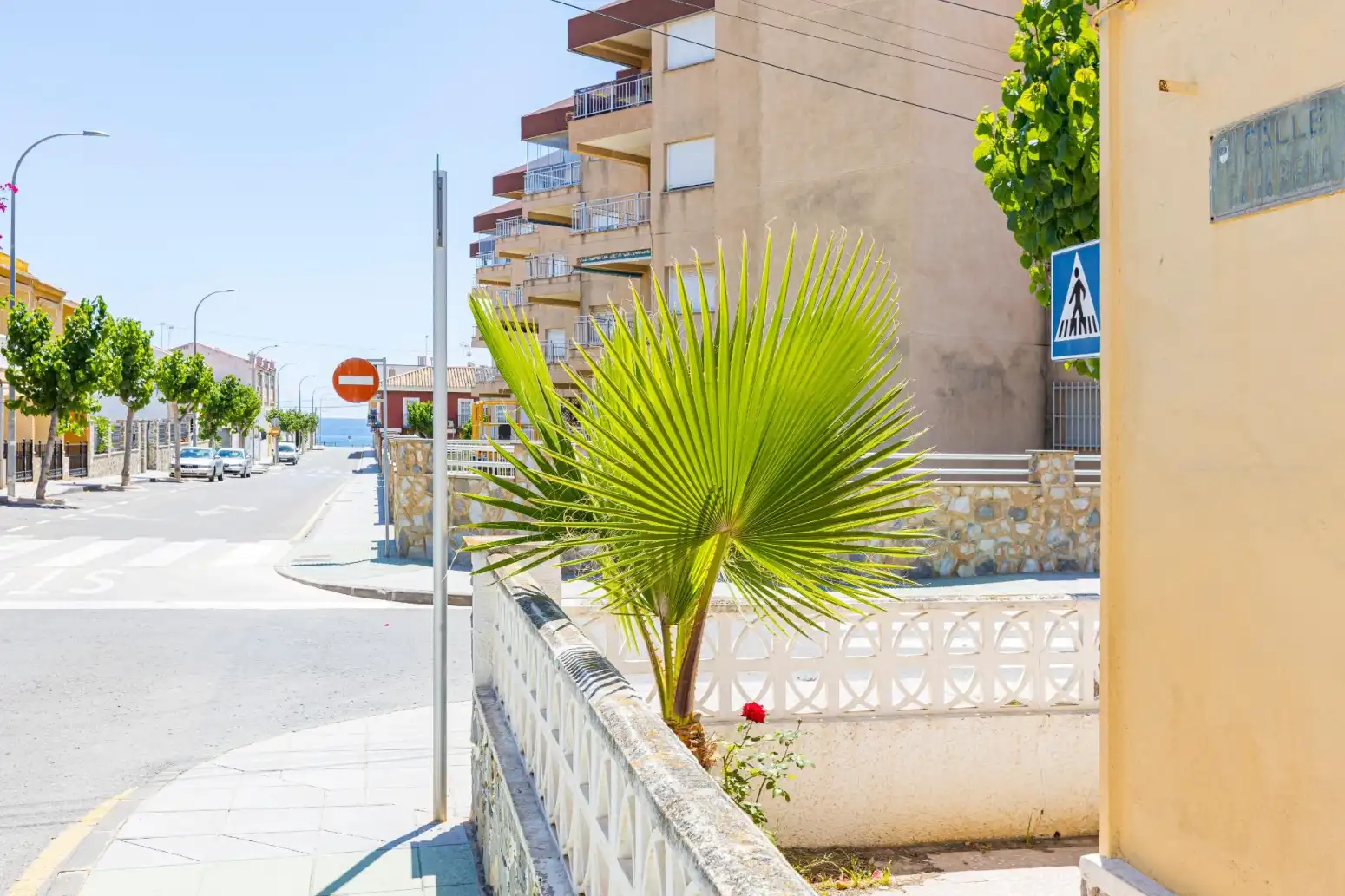 Exterior view of Houses for sale in Pilar de la Horadada  with Terrace