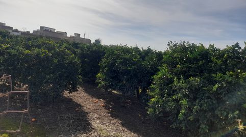 Oportunidad Finca de Naranjo, immagine 4