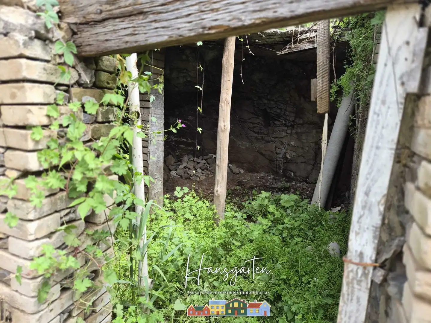 Garden of Houses for sale in Teror  with Private garden